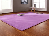 160x200cm Short-haired coral velvet carpet living room floor mat coffee table mat bedroom blanket bed