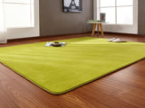 160x200cm Short-haired coral velvet carpet living room floor mat coffee table mat bedroom blanket bed