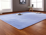 160x200cm Short-haired coral velvet carpet living room floor mat coffee table mat bedroom blanket bed